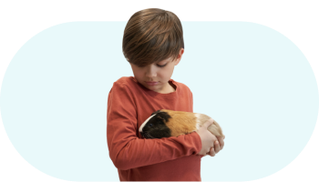 Local Favorite Veterinarians