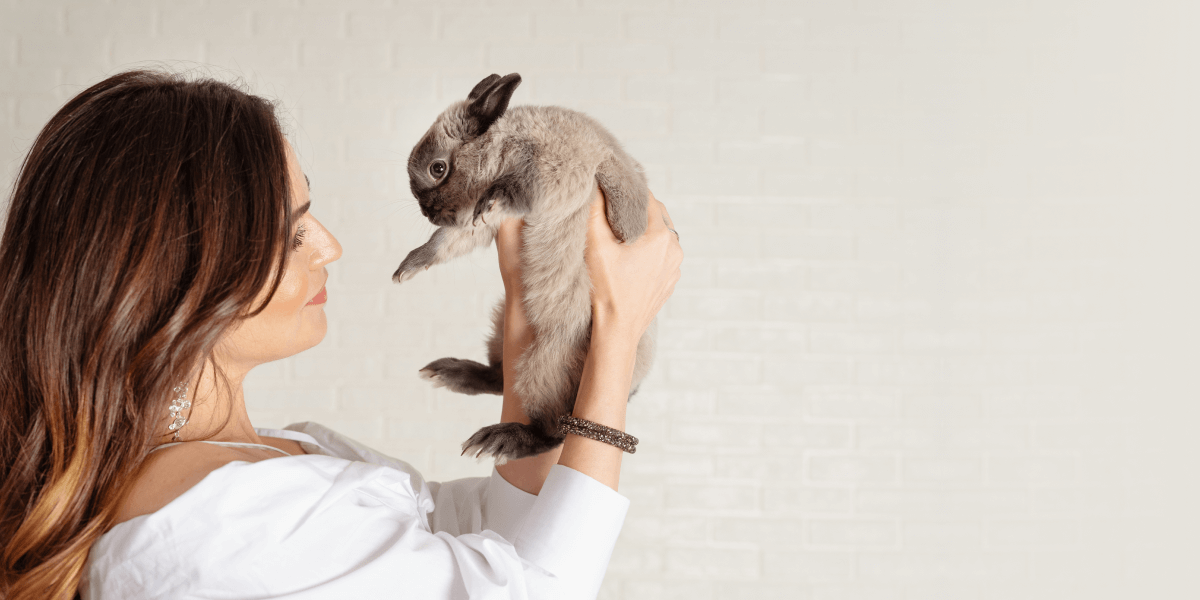 A refreshing new vet experience starts here